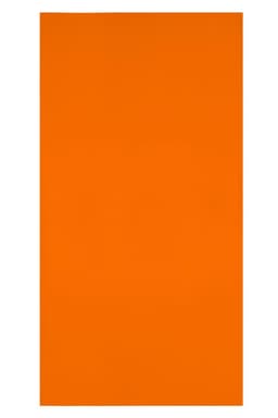 An orange sunshade with a smooth surface, featuring a logo in one corner.
