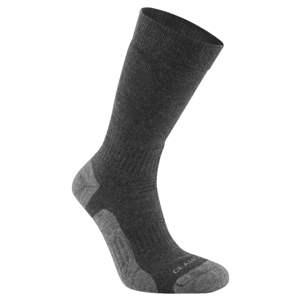 webimage-ceh001_800_p_1.png