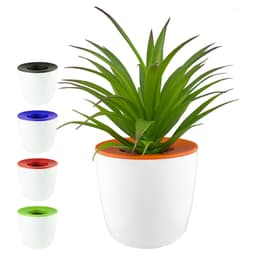 A white mini desk plant pot with a vibrant orange top, featuring a green plant. Includes additional pots in black, blue, and green.