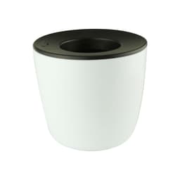 A mini desk plant pot featuring a sleek white exterior and a black lid. It has a simple, modern design.