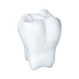 A white stress toy shaped like a tooth, featuring smooth surfaces and rounded edges. It has a logo on it.
