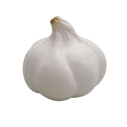 A white garlic-shaped stress toy with rounded features, featuring a smooth surface and a small protruding top.
