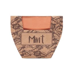 A square cardboard package with a leaf design, containing a mint-coloured product with "Mint" written on it.