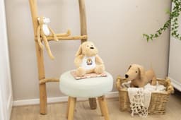 A plush dog toy named Hailey sits on a light green stool, surrounded by other toys in a warm, inviting room.