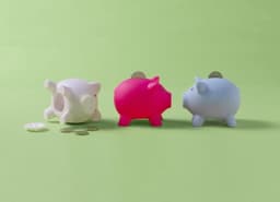 A pink, blue, and white PVC piggy bank with coins on a light green background, featuring a branding logo.