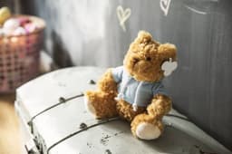 A plush teddy bear with a light blue hoodie, sitting atop a vintage trunk in a playful setting.