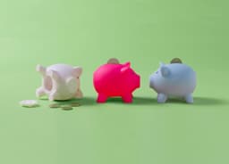 PVC piggy bank