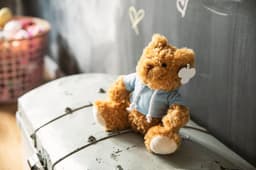Plush teddy bear