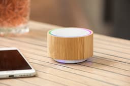 Bamboo speaker
