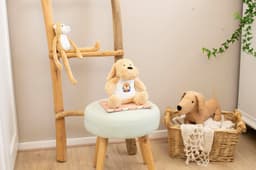 Plush toy dog Hailey