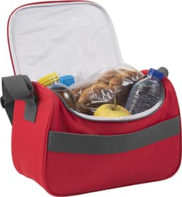 Polyester (600D) cooler bag