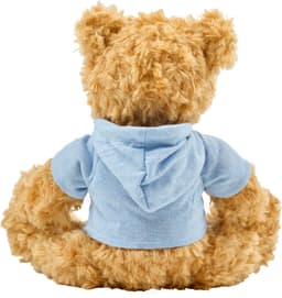 Plush teddy bear