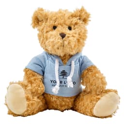 Plush teddy bear