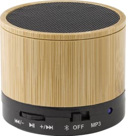 Bamboo wireless speaker