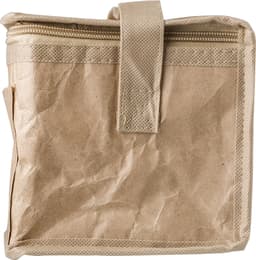 Paper woven cooler bag