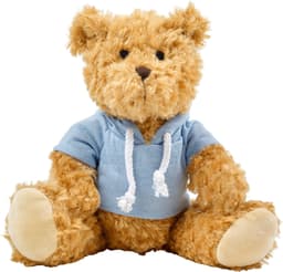 Plush teddy bear