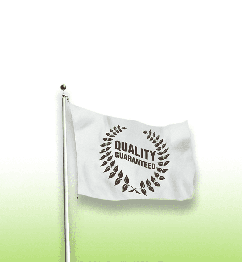 zfpf_hero
