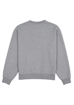 A grey women's crew sweatshirt with a relaxed fit and ribbed cuffs. The back is plain and features a logo.