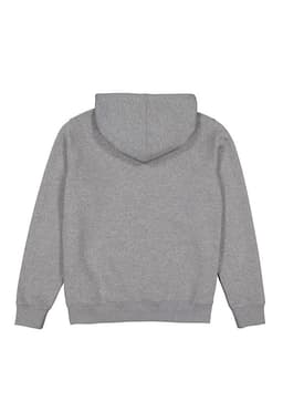 A grey women's everyday hoodie featuring a drawstring hood and a plain back design, with a logo present.