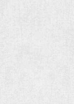 A plain white fabric texture, smooth and uniform in appearance, suitable for clothing.