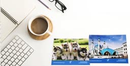 A set of microfiber glasses cloths featuring images of puppies and a building, with a white mug and keyboard in the background.