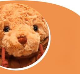 A plush brown teddy bear with a soft, curly texture and a cute face. The image features a circular crop with a logo.