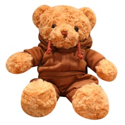 A brown teddy bear wearing a matching hoodie, featuring soft fur and a friendly expression.