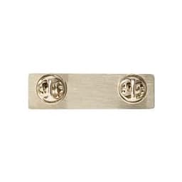 A stainless steel name badge featuring a brushed finish and secure pin attachments. It has a subtle gold tone.