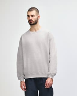 A grey crewneck sweatshirt worn by a model, featuring long sleeves and a relaxed fit, with a logo visible.