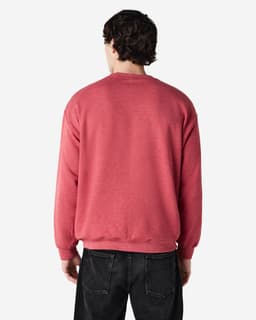 A crewneck sweatshirt in a faded red hue, featuring a relaxed fit and long sleeves. The back view displays a simple design.