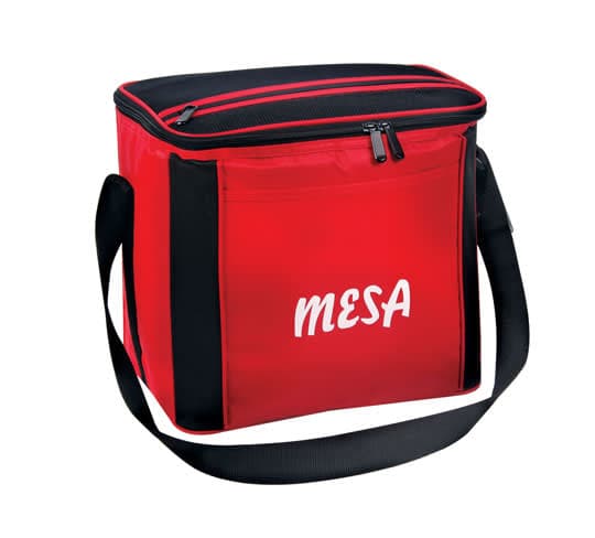 large_cooler_bag_4b4146a822bc0__82930.jpg