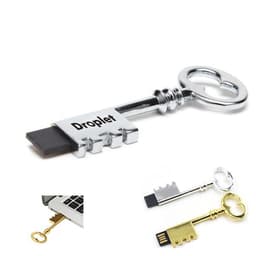 A key-shaped USB flash drive in silver and gold, featuring a logo and a sleek, metallic design.