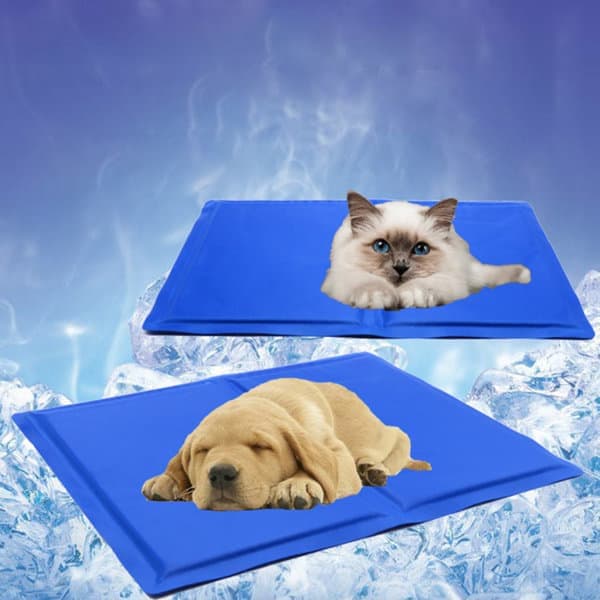 17507