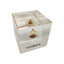 A clear acrylic paperweight with two small oil droplets encased inside, featuring an embossed logo.
