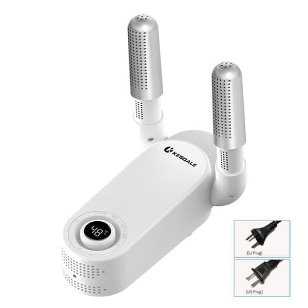 29256