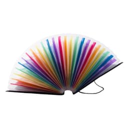 A 24 pocket expanding file organiser with a black cover and brightly coloured, transparent pockets.