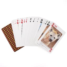 Custom white core playing cards featuring various designs, with a red and black patterned back.