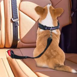 A retractable pet car seat belt in black, featuring a dog secured in a car's back seat.
