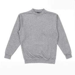 A grey crewneck sweatshirt with long sleeves and ribbed cuffs, featuring a simple design.