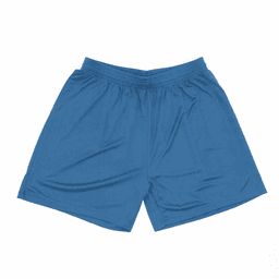 Blue shorts featuring an elastic waistband and simple design, with a logo on the side.