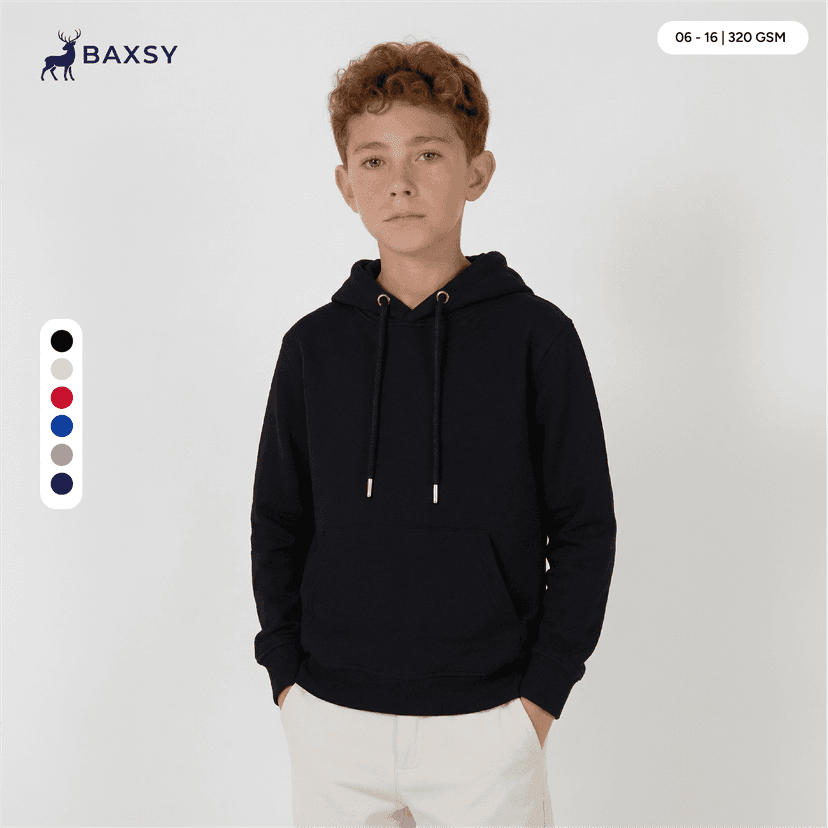 baxsy801-main.png