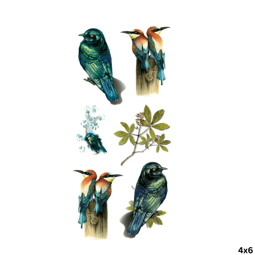 igtat02-main.png