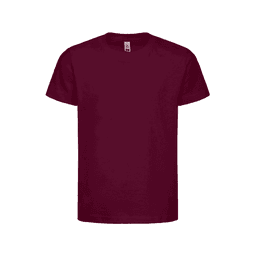 A burgundy kids' t-shirt with a classic crew neck design and short sleeves. It features a logo on the front.