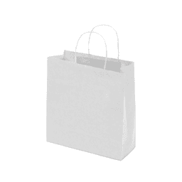A medium white kraft paper bag with twisted paper handles, featuring a simple design and no visible branding.