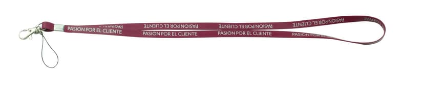 lan16-pasion-scaled-scaled.jpg