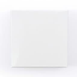 A white cardboard box with a smooth surface and no visible branding or graphics.