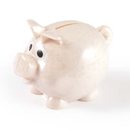 A small pig-shaped eco coin bank with a light speckled finish and oversized cartoonish eyes.