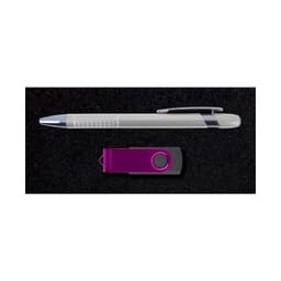 A silver pen and a purple USB drive on a black background, part of the Alliance Gift Set.