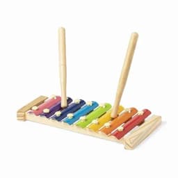A wooden xylophone with colourful bars in blue, purple, pink, red, orange, yellow, and green. It has two wooden mallets.