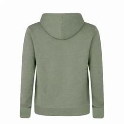 A green adult sweatshirt with a hood, featuring a plain back design and ribbed cuffs.